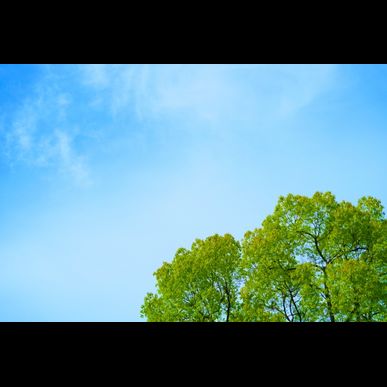 基礎工事って何だろう？工程、手順のポイントをまとめ！【株式会社鳶貫】