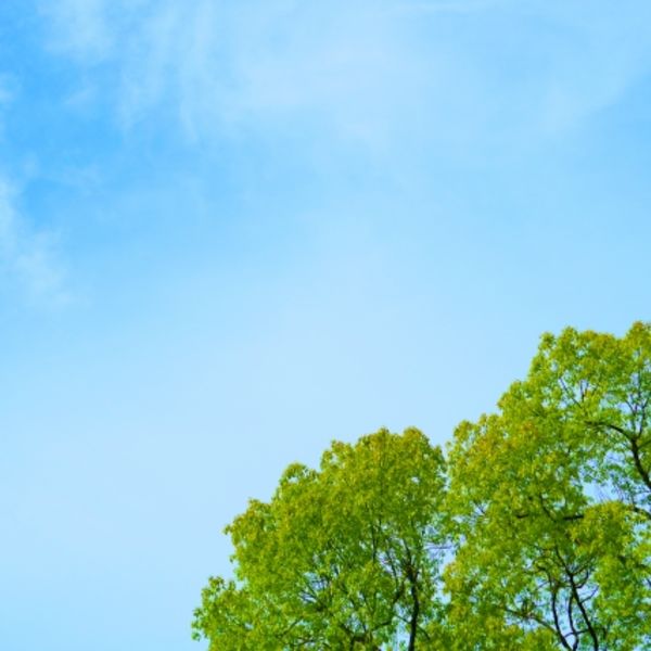 基礎工事って何だろう？工程、手順のポイントをまとめ！【株式会社鳶貫】